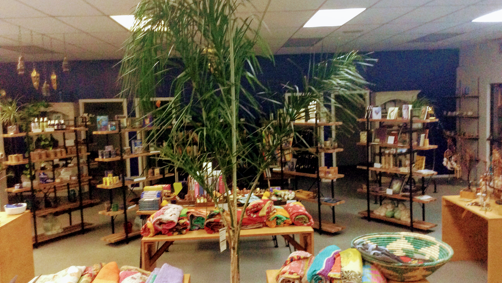 The Indigo Collective in Pasadena, CA