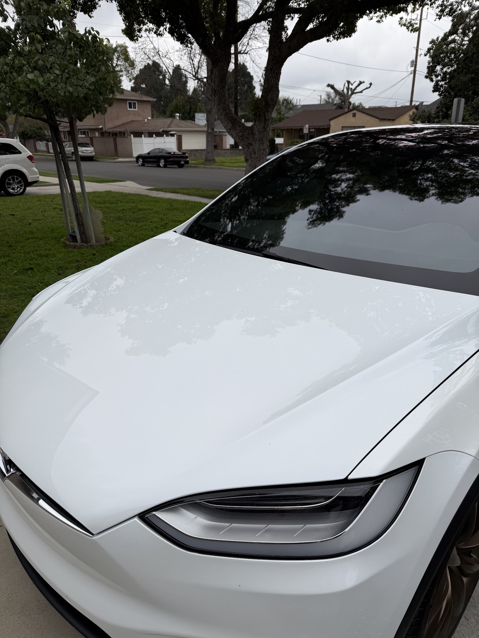 CARSTAR Douglas Auto Body in Pasadena, CA