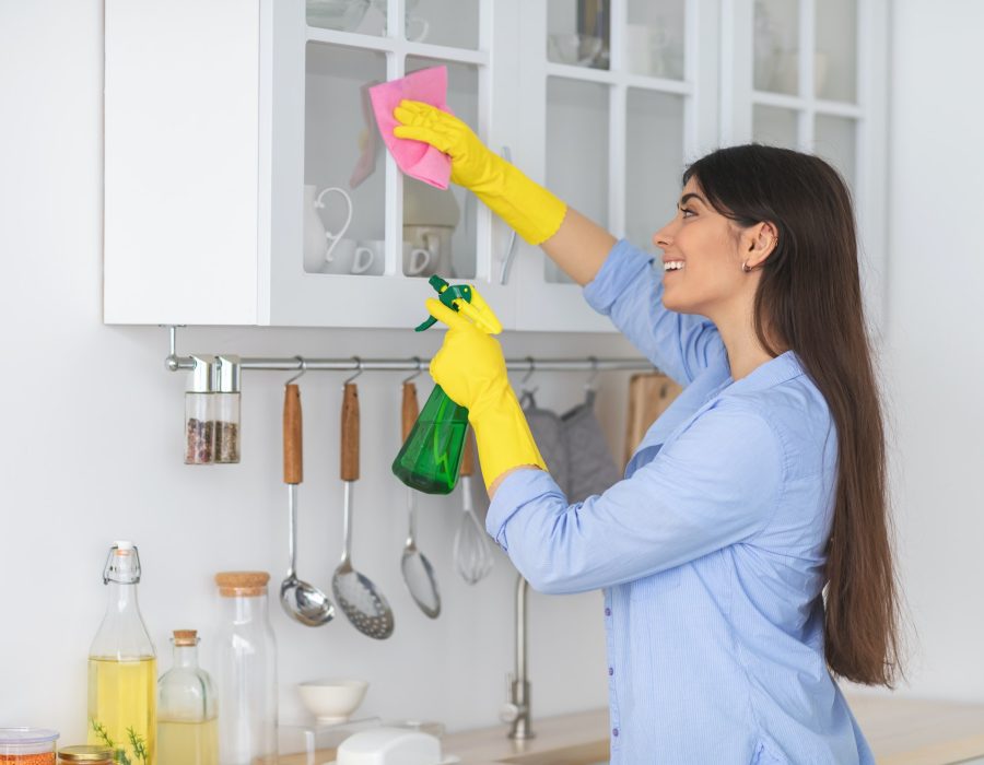 Pasadena Cleaning Services in Pasadena, CA