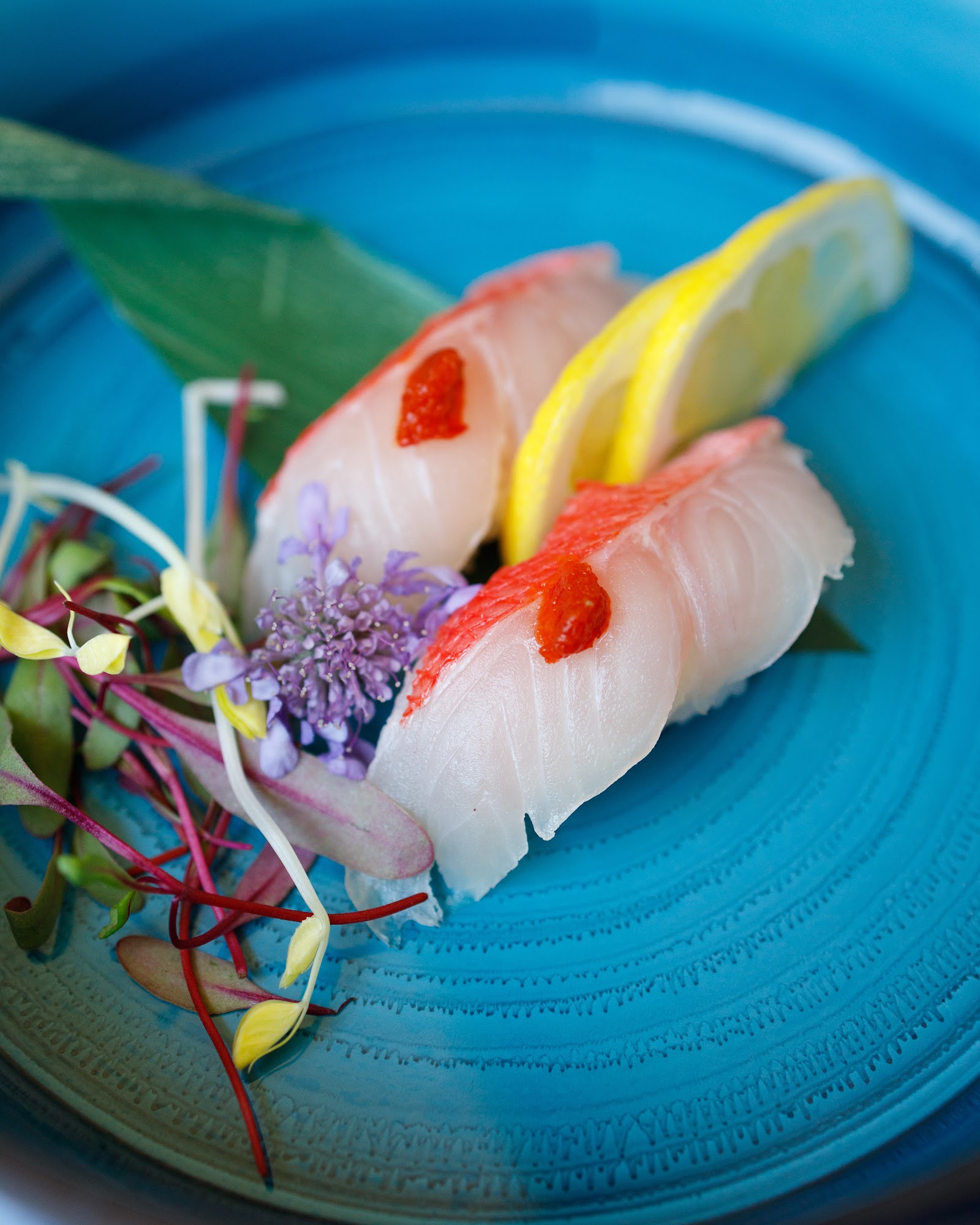 Haruka Sake and Sushi Pasadena in Pasadena, CA
