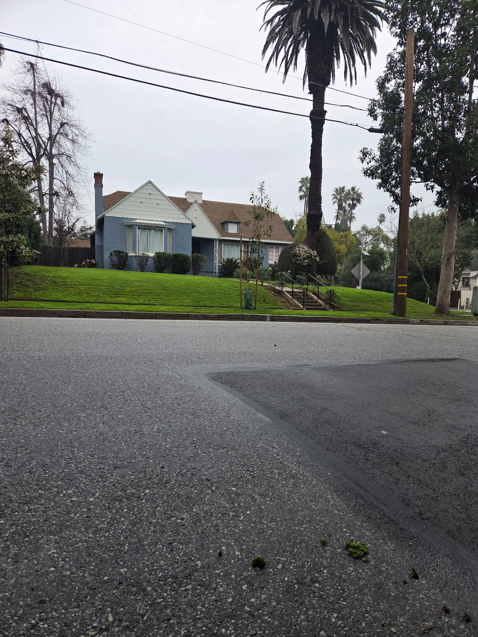 Diaz Gardening & Landscaping in Pasadena, CA
