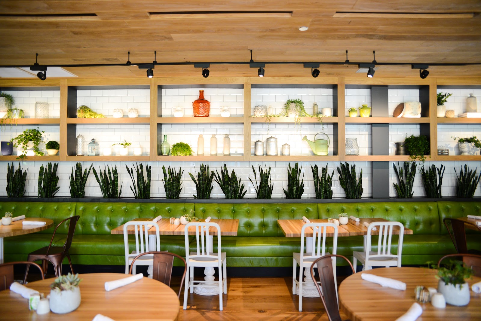 True Food Kitchen in Pasadena, CA