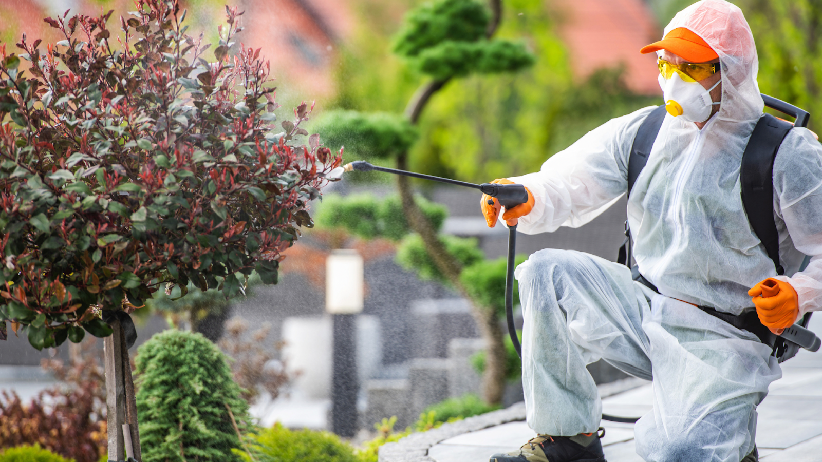 Wise Pest Control in Pasadena, CA