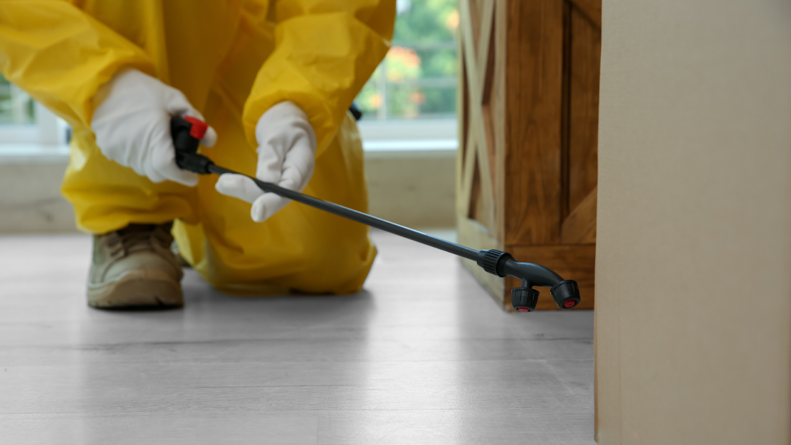 Wise Pest Control in Pasadena, CA