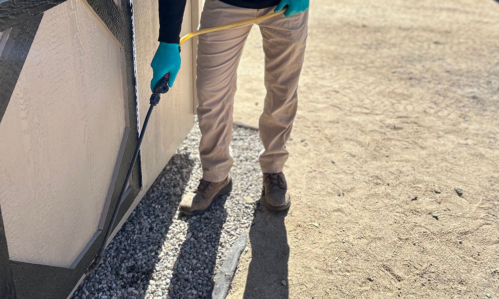 Wise Pest Control in Pasadena, CA
